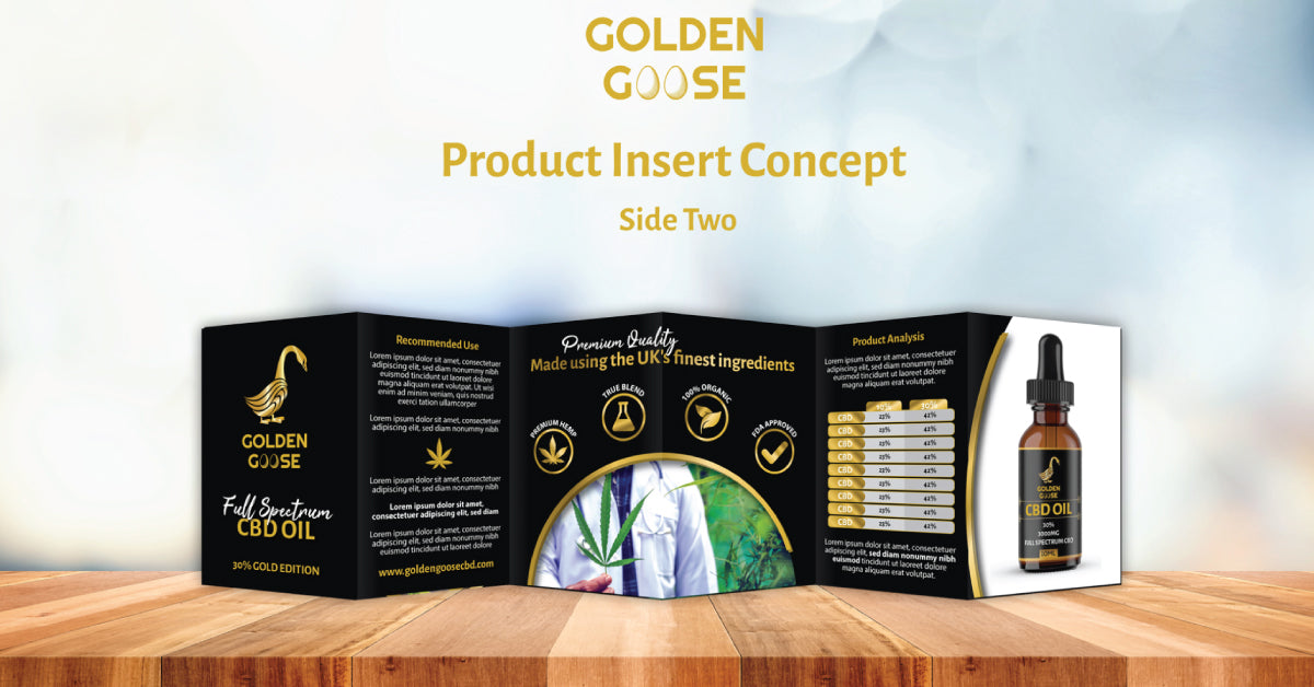 Brochure Design Package